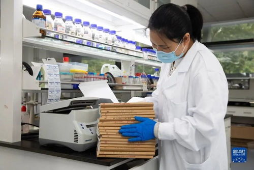 人造淀粉 生物科技颠覆农业，开启粮食生产新纪元